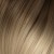 Dunkelblond / Hellblond 10/20