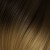 Kastanienbraun / Blond 4/14
